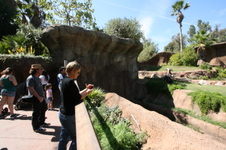 Enlarge photo 143