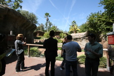 Enlarge photo 144