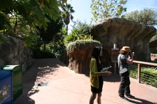 Enlarge photo 145