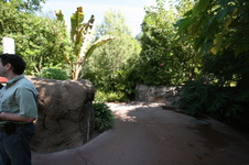 Enlarge photo 146