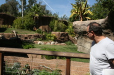 Enlarge photo 147