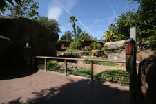 Enlarge photo 149