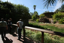 Enlarge photo 151