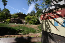 Enlarge photo 152