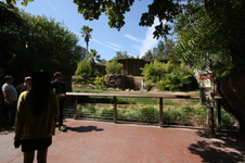Enlarge photo 153