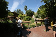 Enlarge photo 154