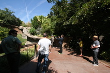 Enlarge photo 155