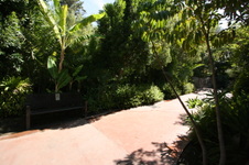 Enlarge photo 156