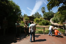 Enlarge photo 157