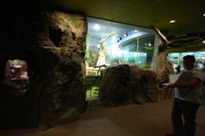 Enlarge photo 158