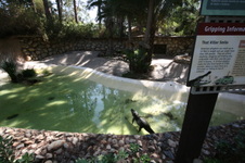 Enlarge photo 160