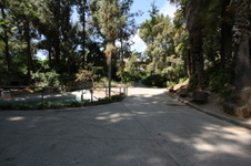 Enlarge photo 161