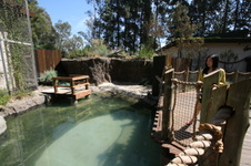 Enlarge photo 163
