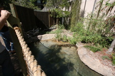 Enlarge photo 164