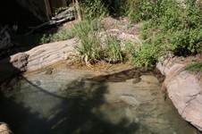 Enlarge photo 165
