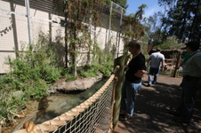 Enlarge photo 166