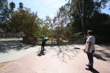 Enlarge photo 167