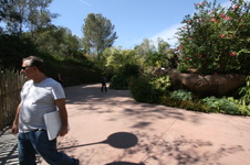 Enlarge photo 168
