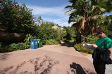 Enlarge photo 169