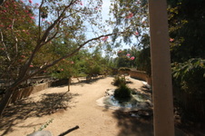 Enlarge photo 172