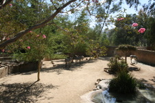Enlarge photo 173