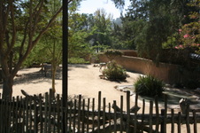 Enlarge photo 175