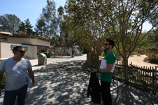 Enlarge photo 178