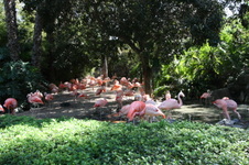 Enlarge photo 180