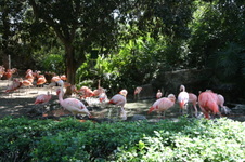 Enlarge photo 181