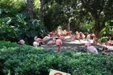 Enlarge photo 182