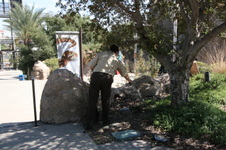 Enlarge photo 192