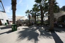 Enlarge photo 196