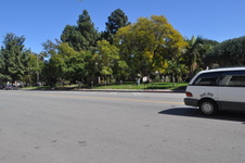 Park View