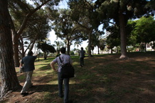 MacArthur Park RESCOUT