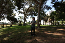 Enlarge photo 6
