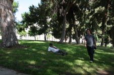 Enlarge photo 27