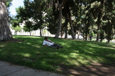 Enlarge photo 28