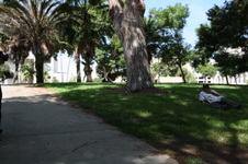 Enlarge photo 29