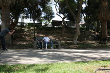 Enlarge photo 34