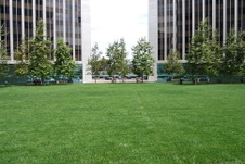 Party Garden