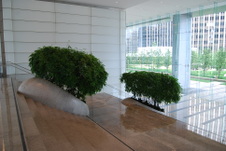 Enlarge photo 37