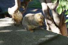Enlarge photo 17