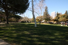 Enlarge photo 26