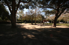 Enlarge photo 30