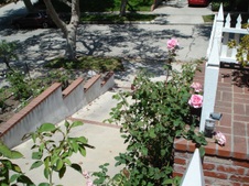 Enlarge photo 18