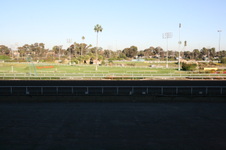 Enlarge photo 62