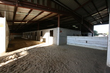 Enlarge photo 81
