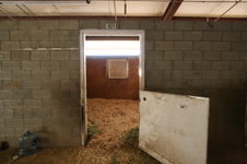 Enlarge photo 86
