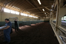 Enlarge photo 33
