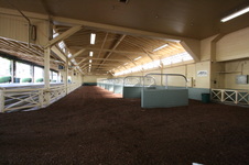 Enlarge photo 37